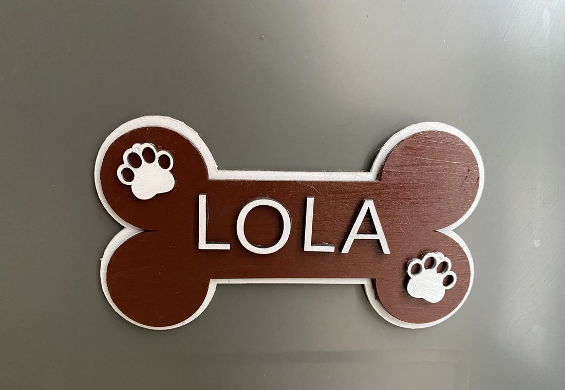Placa de hueso de madera personalizada con el nombre LOLA para perro