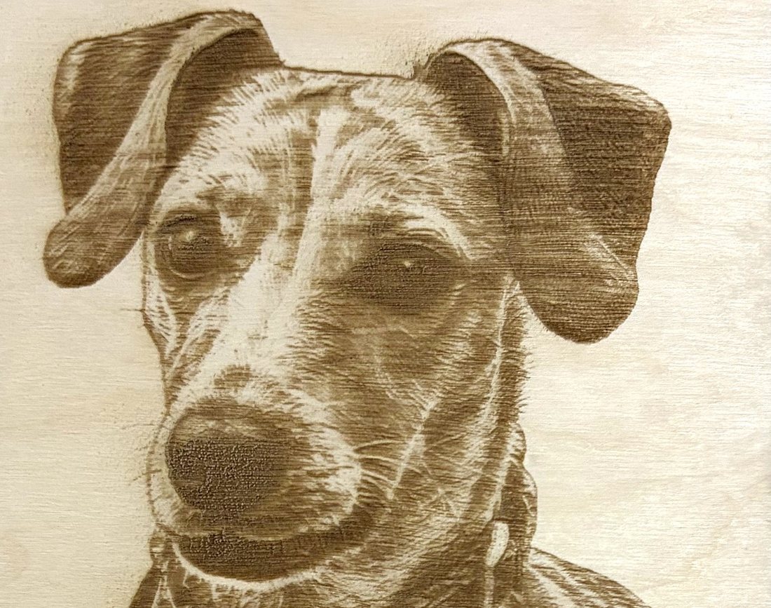 Detalle a corta distancia de un retrato de perro grabado en madera de abedul: se distinguen los pelos uno a uno, los ojos y el grano quemado del hocico