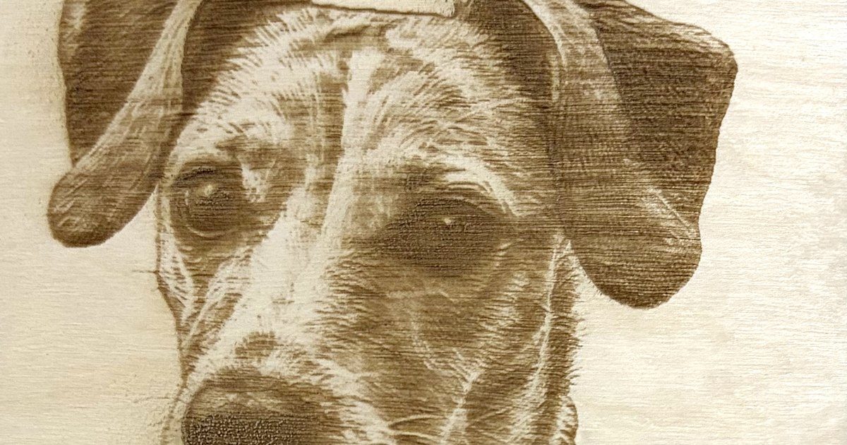 Retrato de un perro grabado a láser en una lámina de madera de abedul, a partir de una foto