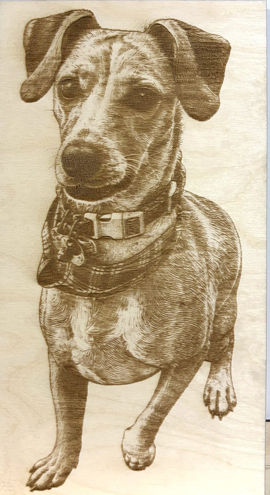 Retrato de un perro mestizo grabado a láser sobre una lámina de madera de abedul, de cuerpo entero, con el collar y el pañuelo visibles