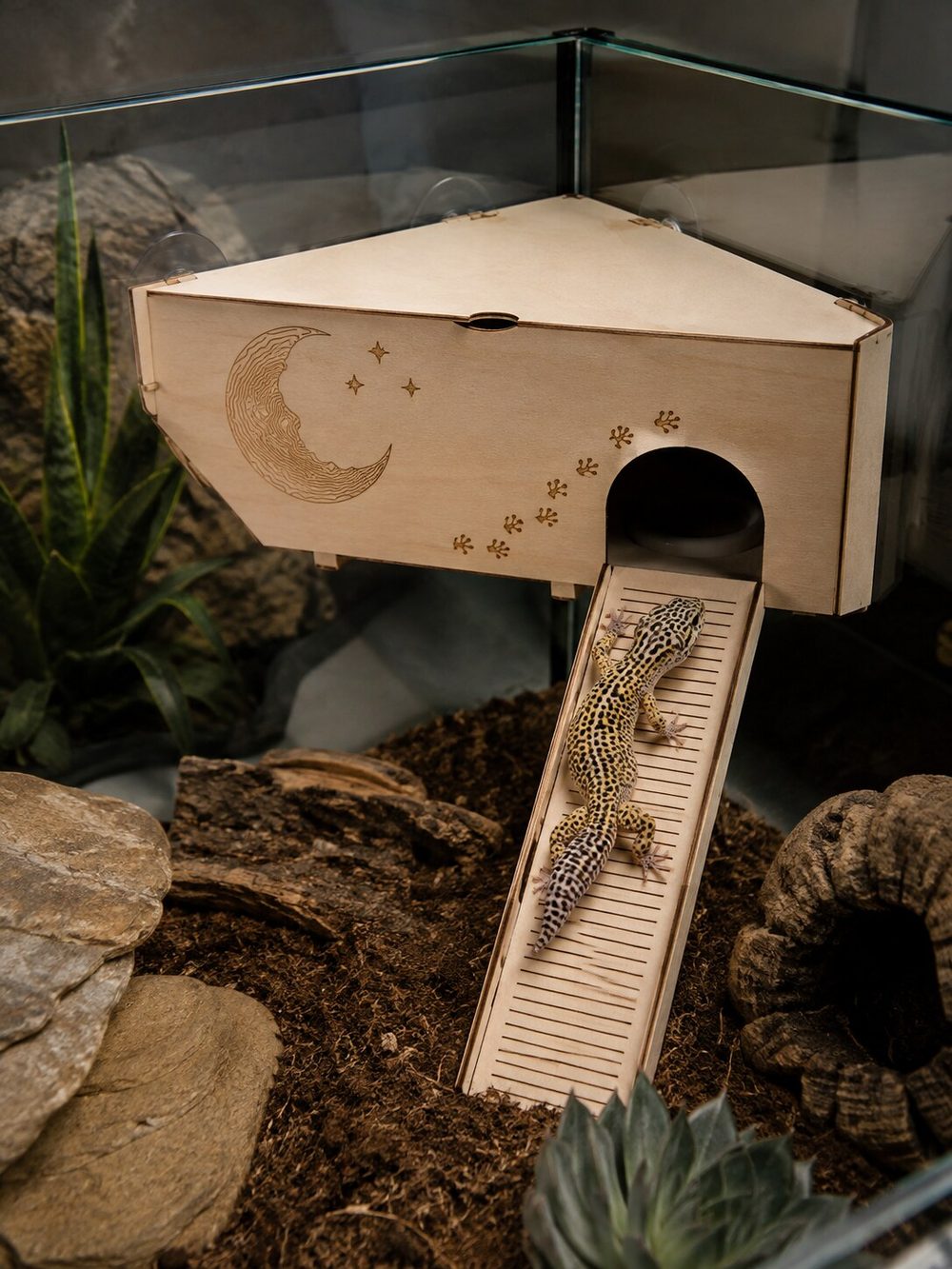 Cueva esquinera de madera para terrario con luna y estrellas grabadas